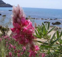 Κρήτη